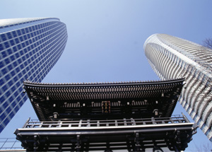 2003111710530517701[1].jpg